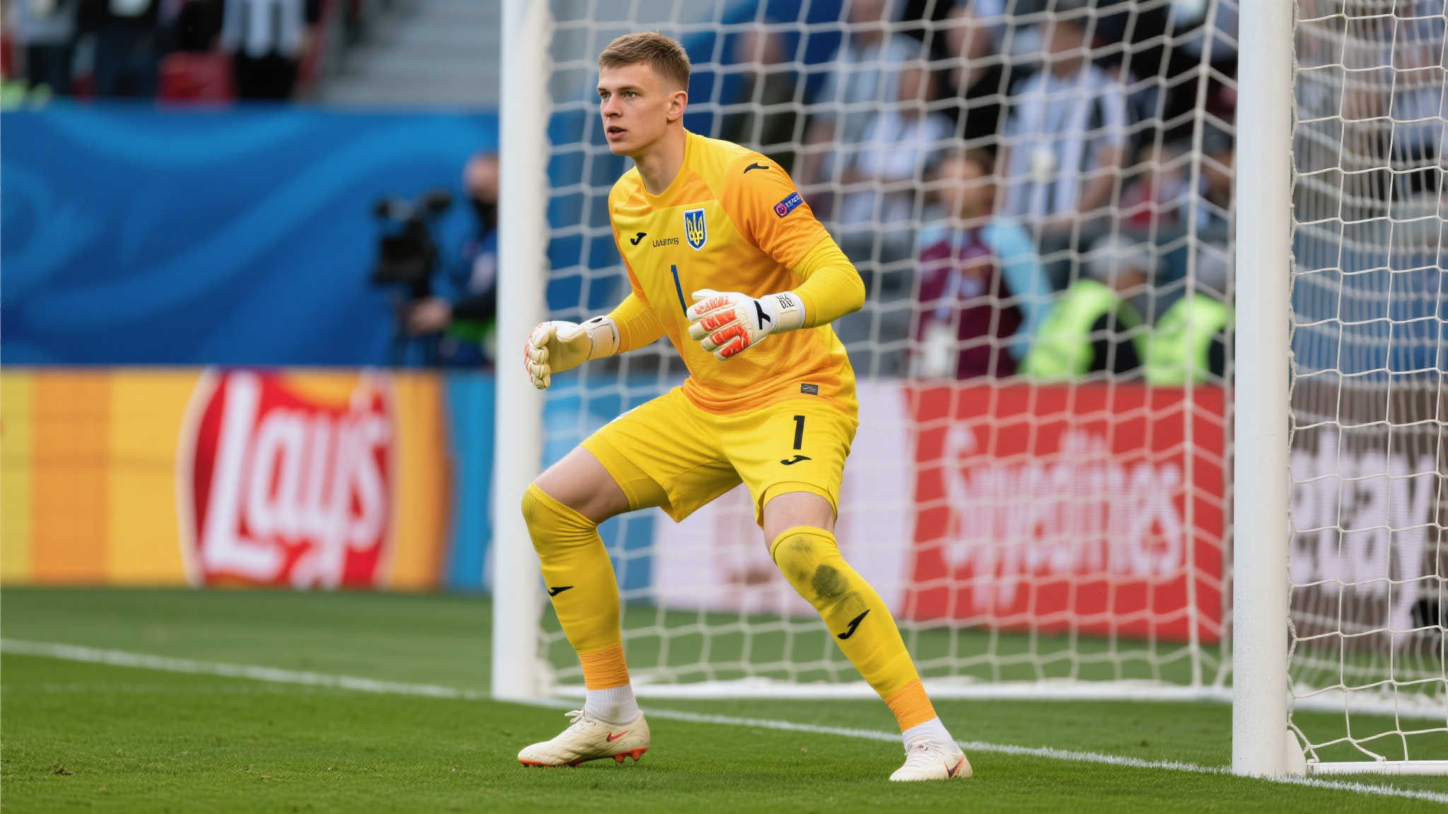 可以看出圖 可以看出圖